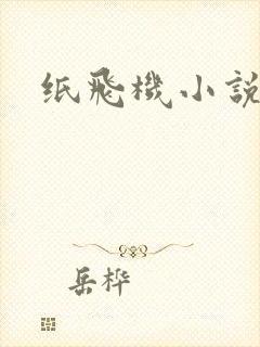 纸飞机小说