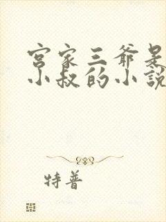 宫家三爷是女主小叔的小说