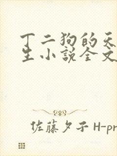 丁二狗的天梯人生小说全文免费阅读
