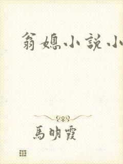 翁媳小说小莹