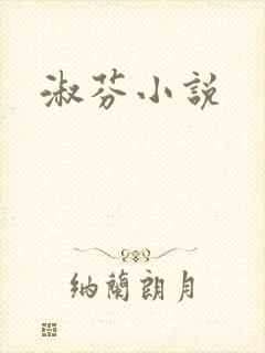 淑芬小说