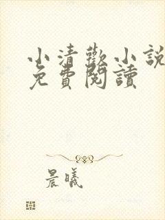 小清欢小说全文免费阅读