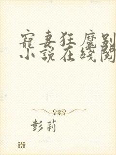 宠妻狂魔别太坏小说在线阅读