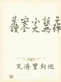 叶安小说免费阅读全文无弹窗