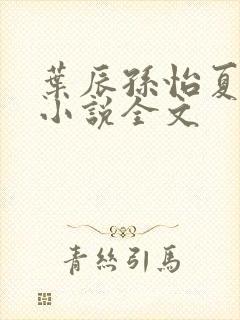 叶辰孙怡夏若雪小说全文