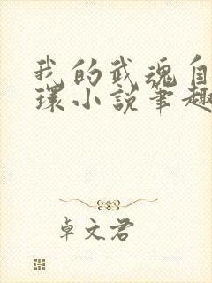 我的武魂自带魂环小说笔趣阁