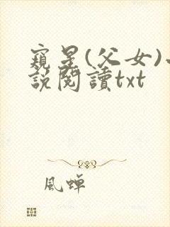 窥星(父女)小说阅读txt封面