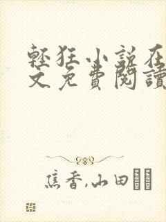 轻狂小说在线全文免费阅读
