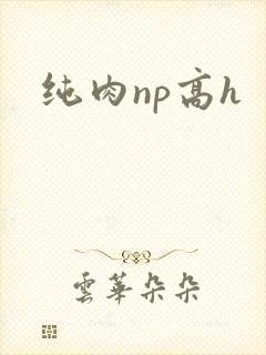 纯肉np高h