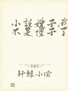 小说嫂子,我真不是傻子了免费阅读封面