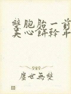 双胞胎一前一后夹心饼干年下封面
