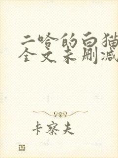二哈的白猫师尊全文未删减封面