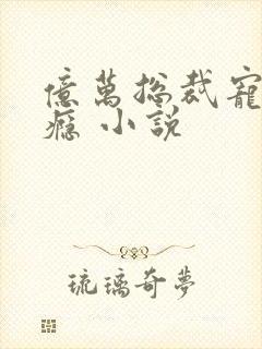 亿万总裁宠妻成瘾 小说