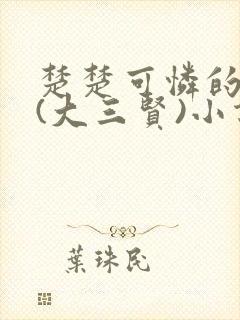 楚楚可怜的继女(大三贤)小说全文封面