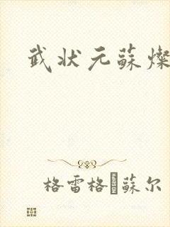 武状元苏灿封面