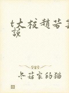 t大校赵若芸小说