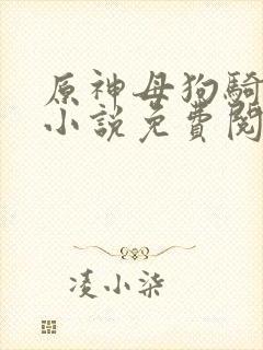 原神母狗骑士团小说免费阅读全文