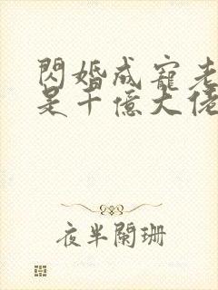 闪婚成宠老公竟是千亿大佬.