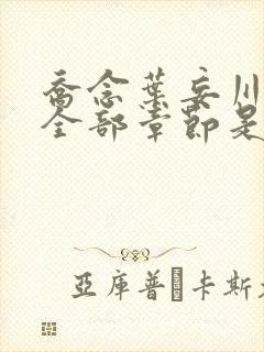乔念叶妄川小说全部章节是多少节