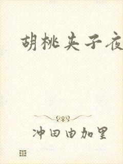 胡桃夹子夜未眠