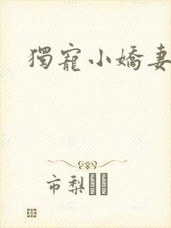 独宠小娇妻