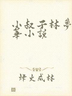 小叔子林梦顾正华小说