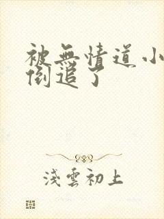 被无情道小师弟倒追了封面