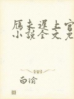 雁未迟上官穿越小说全文免费阅读封面