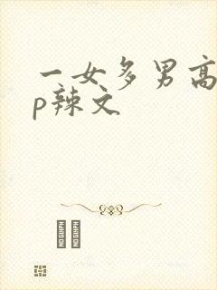一女多男高hnp辣文
