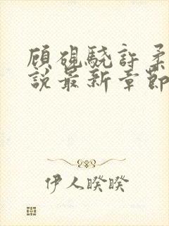 顾砚骁许柔汐小说最新章节更新时间