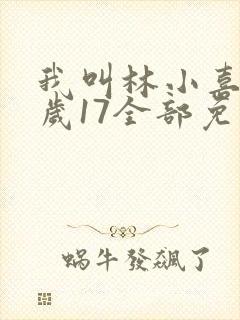 我叫林小喜今年岁17全部免费阅读