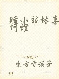 赌小说林喜朝和柯煜