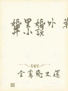 婚里婚外 叶晓井小说
