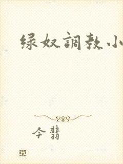 绿奴调教小说