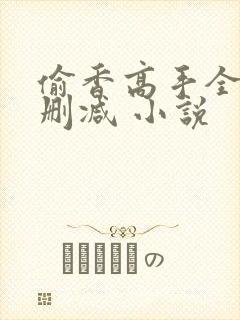 偷香高手全文无删减 小说