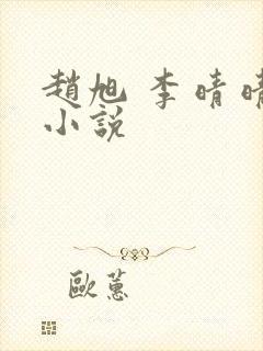 赵旭 李晴晴 小说