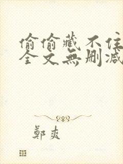 偷偷藏不住小说全文无删减