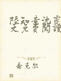 陆知意沈霁川全文免费阅读封面