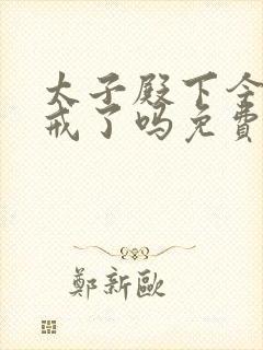 太子殿下今天破戒了吗免费阅读