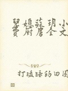 儿媳苏玥小说免费厨房全文阅读