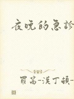 夜晚的急诊室2