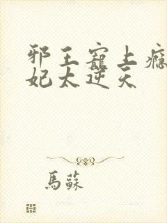 邪王宠上瘾,爱妃太逆天
