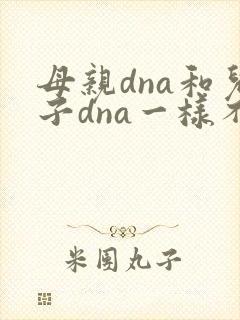 母亲dna和儿子dna一样不