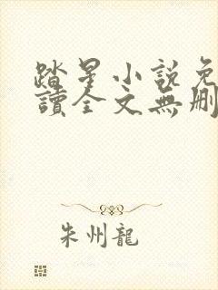 踏星小说免费阅读全文无删减