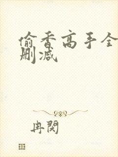 偷香高手全文无删减