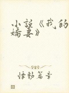 小说《我的倾城娇妻》