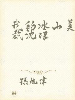 我的冰山美女总裁沈浪