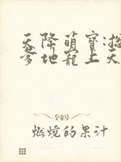 天降萌宝:总裁爹地宠上天封面