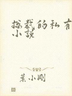 总裁的私有宝贝小说封面