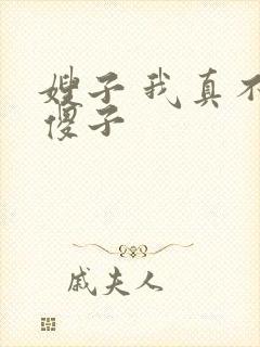 嫂子 我真不是傻子封面